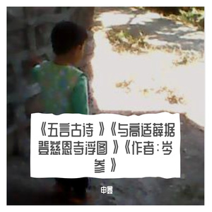 《五言古诗》《与高适薛据登慈恩寺浮图》《作者：岑参》