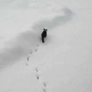 侧脸（那年分开的仓促了）