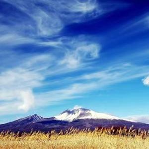 把你留在生命里