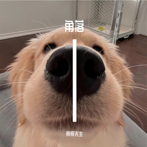 局部有雨
