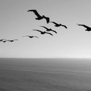 阁楼里的平行宇宙