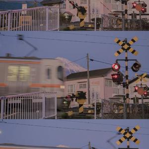 漂洋过海来看你