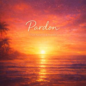 Pardon (feat. Bounde)