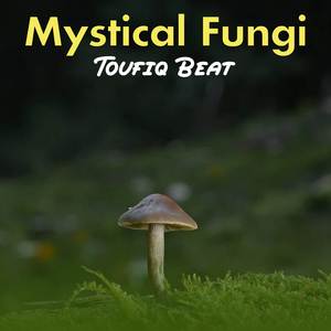 Mystical Fungi