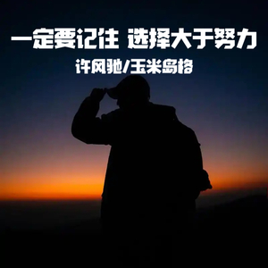 一定要记住 选择大于努力