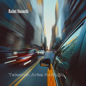 Taksinin Arka Koltuğu