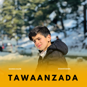 Tawaanzada