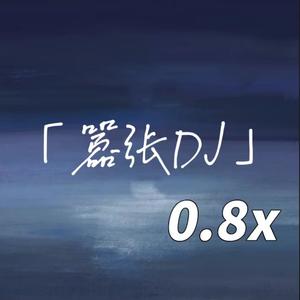 嚣张(DJ版)