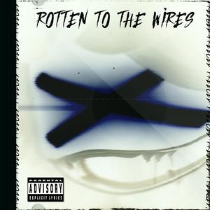 Murder Drones ELECTROSWING! (Rotten to the Wires)