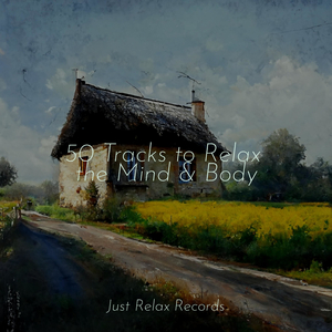 Vanishing Visions Unveiled