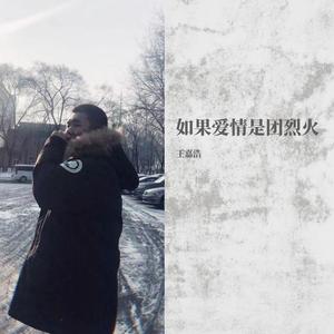 如果爱情是团烈火（吉他版）
