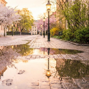 爱你这件事(cover)