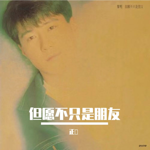 我会像你一样傻