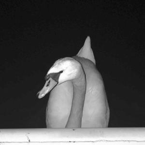 【Free】‘Skyside’ - dark type beat