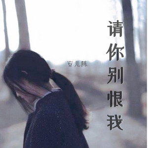 请你别恨我 (伴奏)