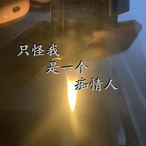 只怪我是一个痴情人