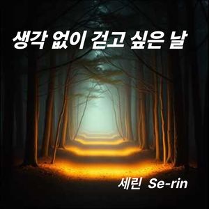생각 없이 걷고 싶은 날