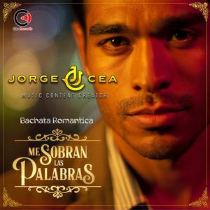 ME SOBRAN LAS PALABRAS