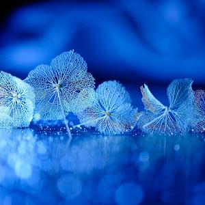 美好的曾经 伴奏