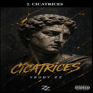 Cicatrices