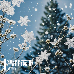 雪花落下（柔情男声版）
