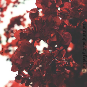 and if you say you lied (feat. Phantom Dog)