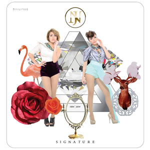 ไม่รัก...ไม่ต้อง