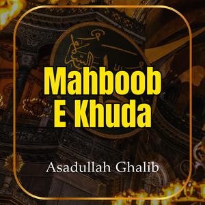 Meraj Un Nabi S.W