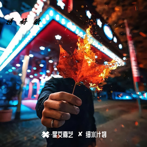 歌单里的拼好饭V9