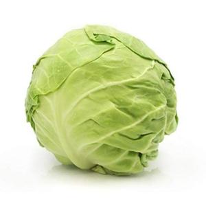Cabbage