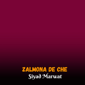 ZALMONA DE CHE