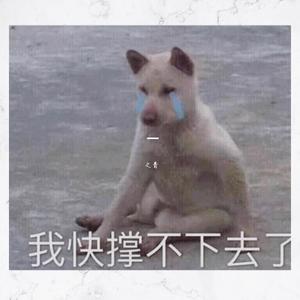 名模之路（Prod By FireX）