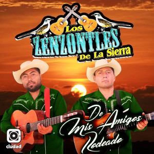 Las Gemelas Calentanas