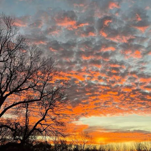 Way Back Home (Acoustic Version)