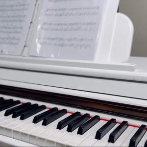 《三叶のテーマ》