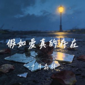 假如爱真的存在 (完整版)