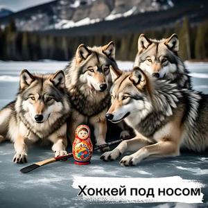 Финляндия против России