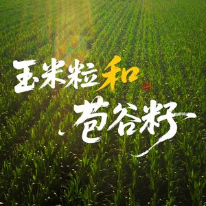 我和我最好的朋友一起出发