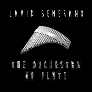 The Orchestra of Flute (Club Mix)