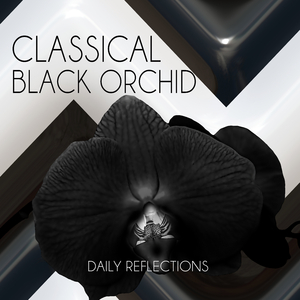String Quartet No. 9 in C Major, Op. 59: III. Menuetto grazioso (Wood Trio Version)