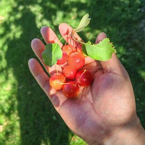 变成平静的人-李盟周