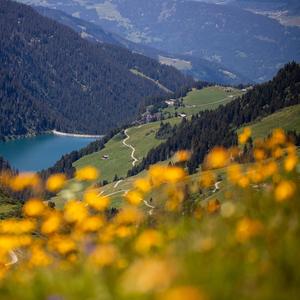 はじまりの風（翻自 平原綾香）