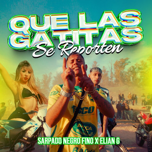 Que las Gatitas Se Reporten