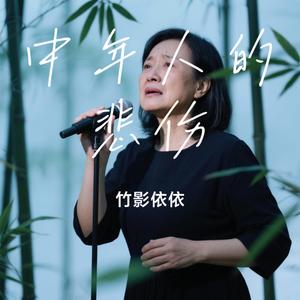 中年人的悲伤