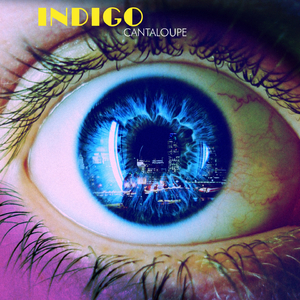Indigo (Cantaloupe Disco Remix)