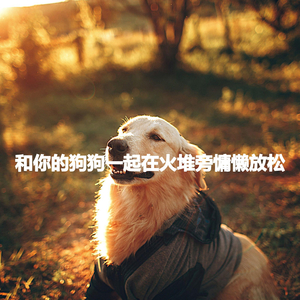 Opulent Saxophone Jazz - Vibe for Everlasting Memories