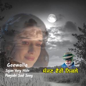 ਸੱਜਣ ਵੈਰੀ ਨਿਕਲੇ