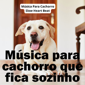 Música para cachorro dormir