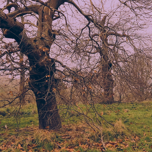 Télétravail & covid