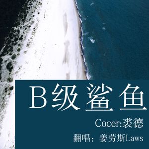 B级鲨鱼